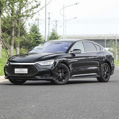 Campion Byd Han 2023